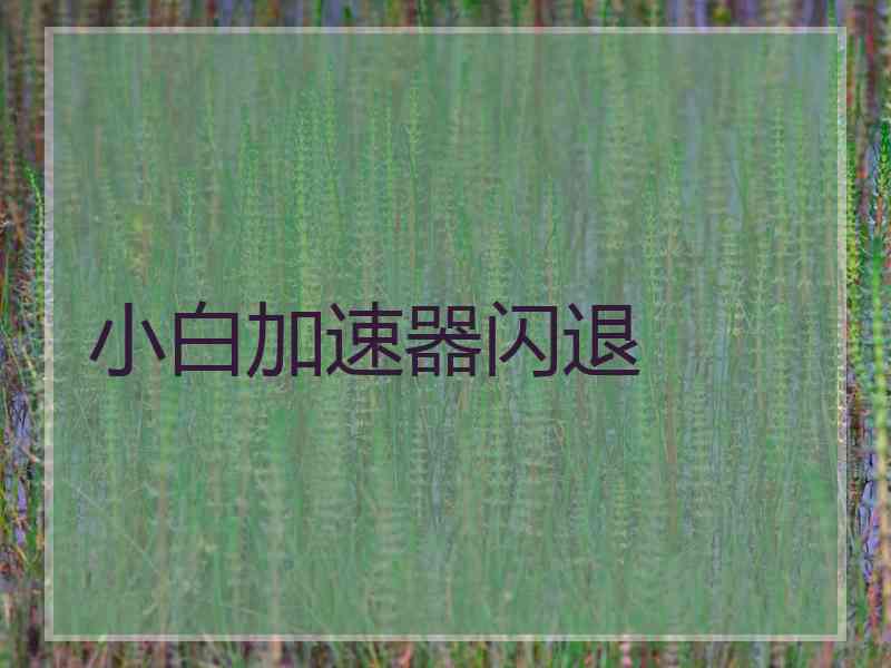 小白加速器闪退