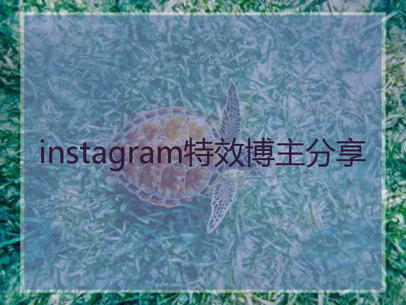 instagram特效博主分享