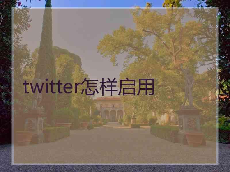 twitter怎样启用