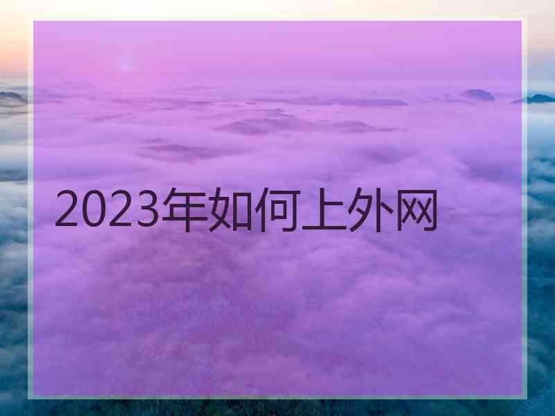 2023年如何上外网