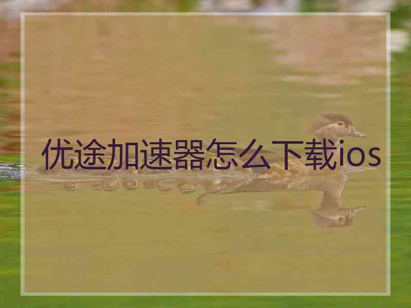 优途加速器怎么下载ios
