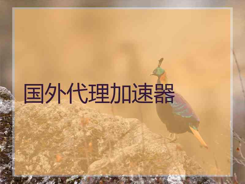 国外代理加速器