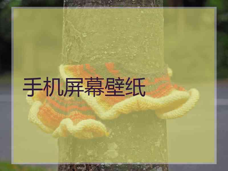 手机屏幕壁纸