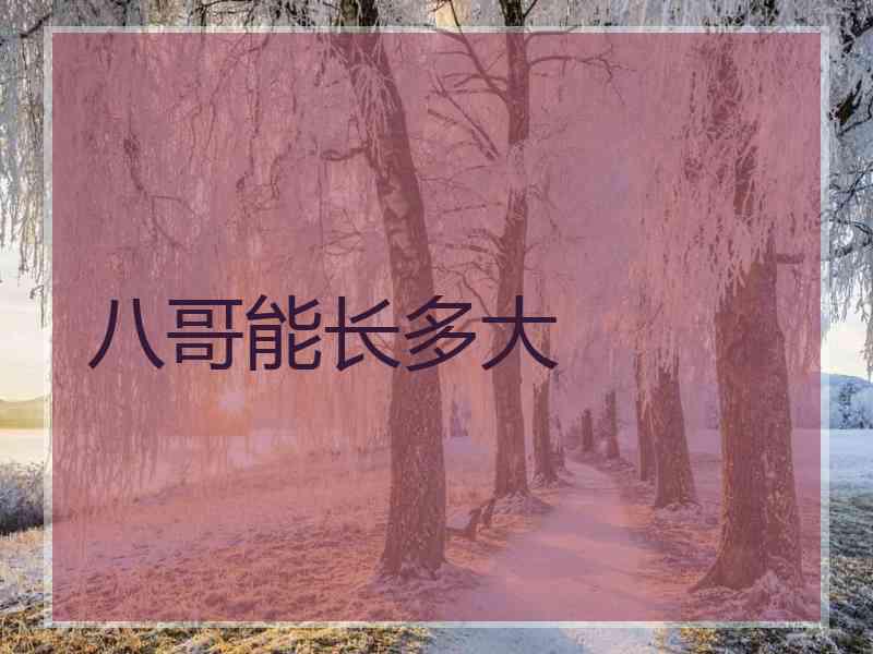八哥能长多大