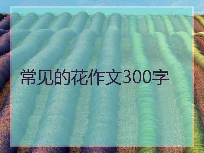 常见的花作文300字