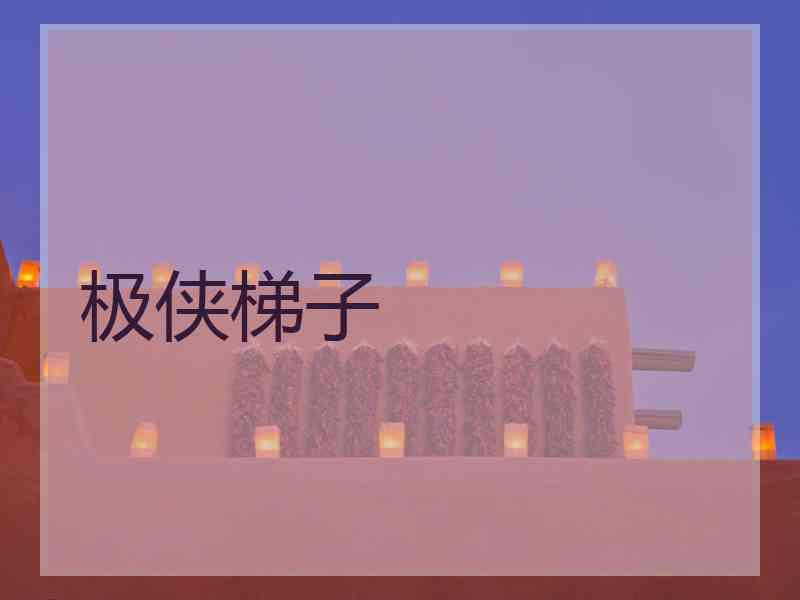 极侠梯子