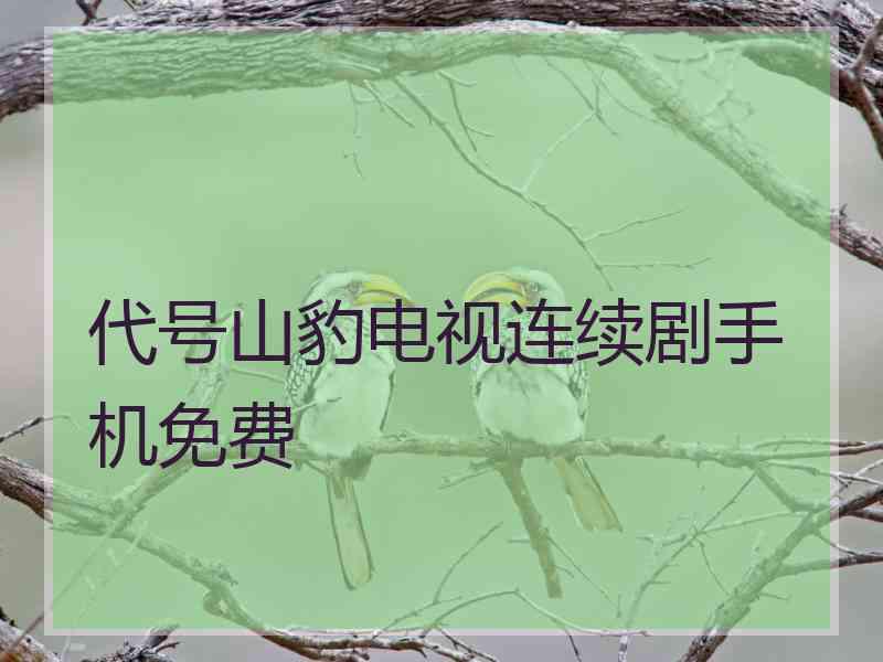 代号山豹电视连续剧手机免费