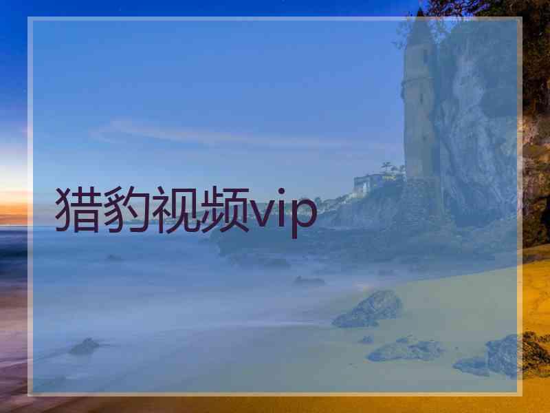 猎豹视频vip