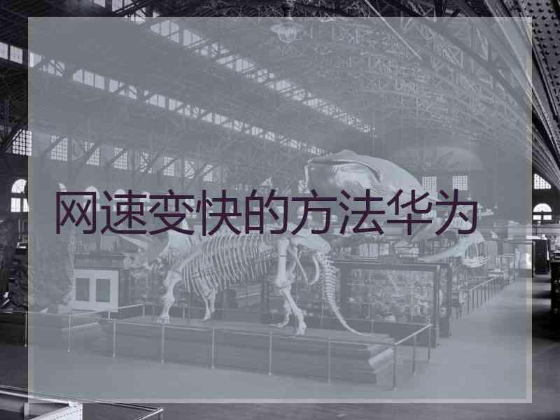 网速变快的方法华为