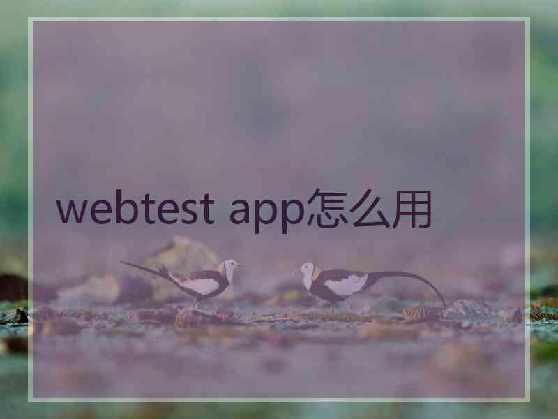 webtest app怎么用