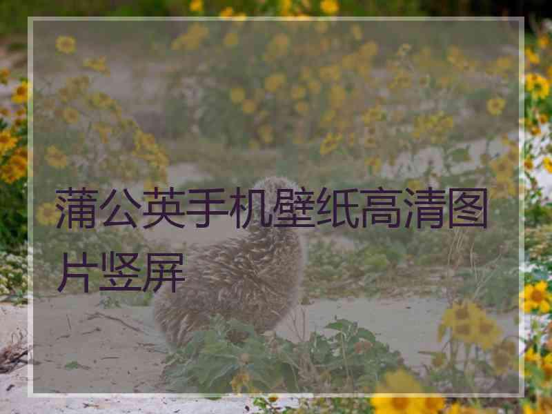 蒲公英手机壁纸高清图片竖屏