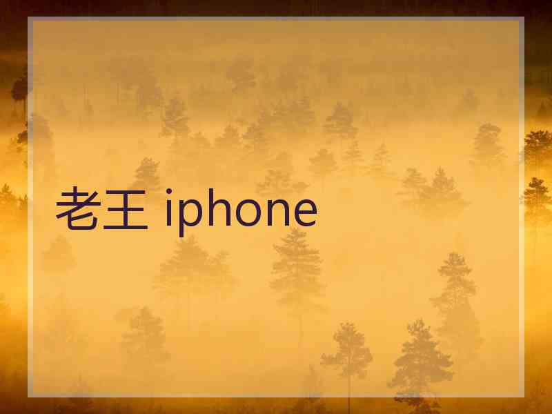 老王 iphone