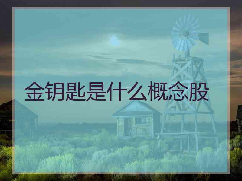 金钥匙是什么概念股