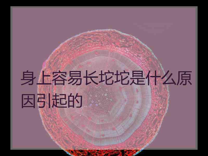 身上容易长坨坨是什么原因引起的