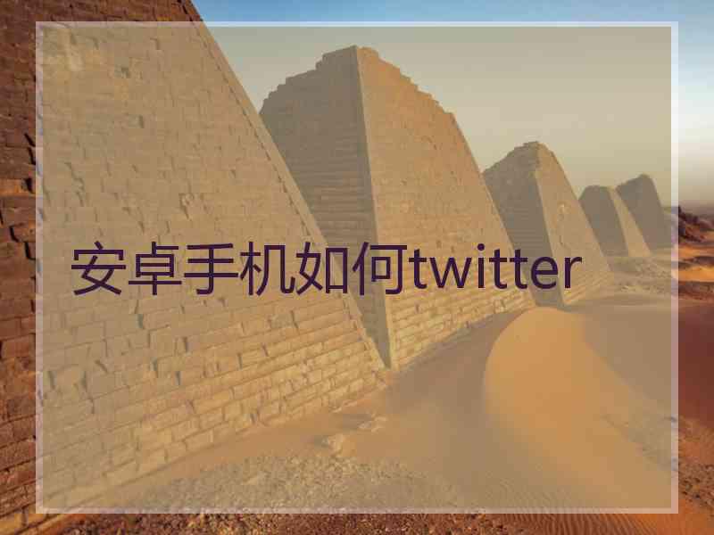 安卓手机如何twitter