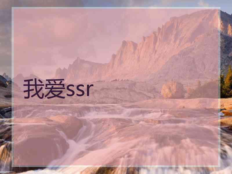 我爱ssr