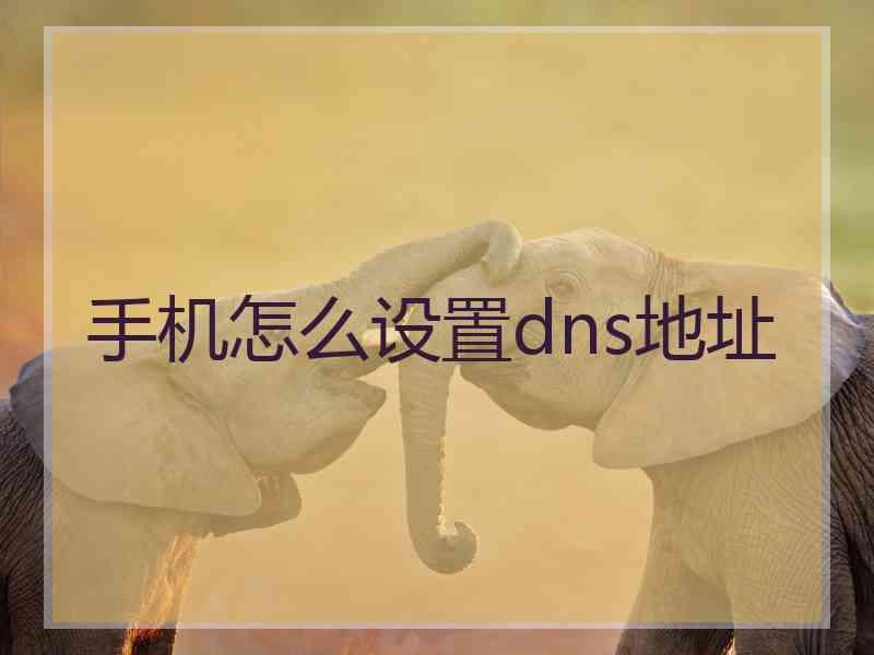 手机怎么设置dns地址