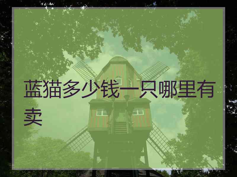 蓝猫多少钱一只哪里有卖