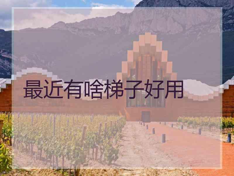 最近有啥梯子好用