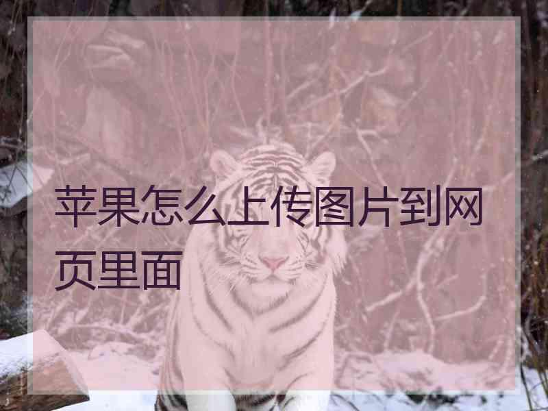 苹果怎么上传图片到网页里面