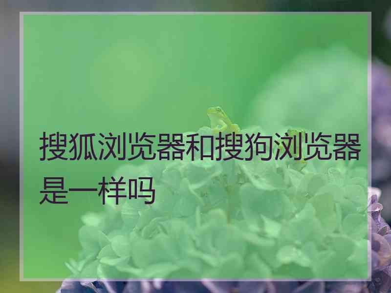 搜狐浏览器和搜狗浏览器是一样吗