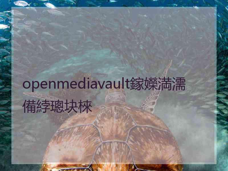 openmediavault鎵嬫満濡備綍璁块棶