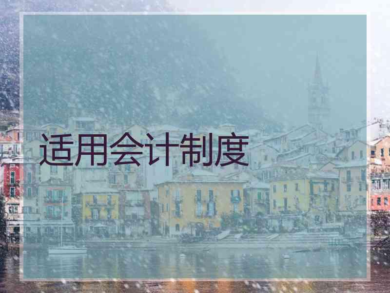 适用会计制度
