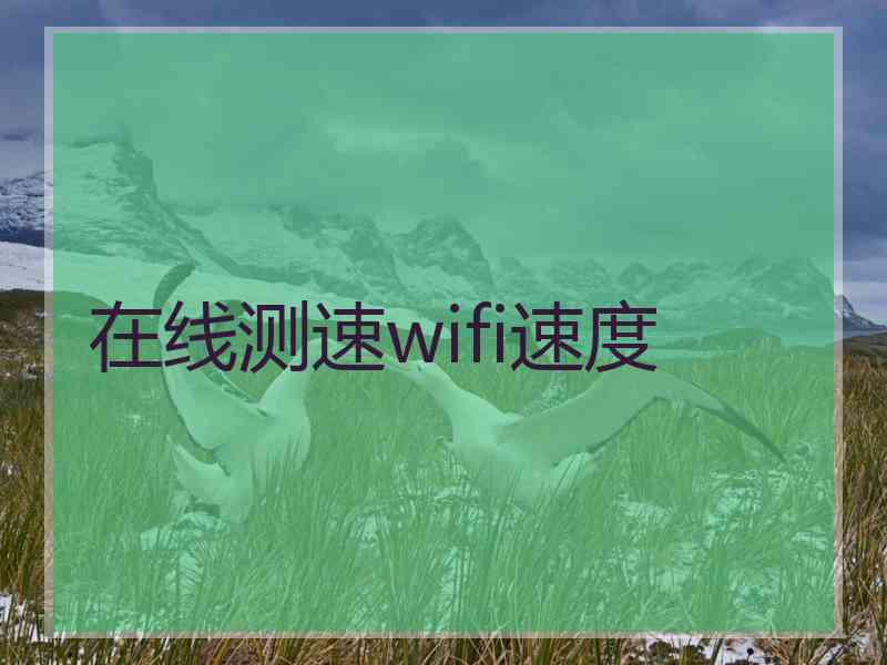 在线测速wifi速度