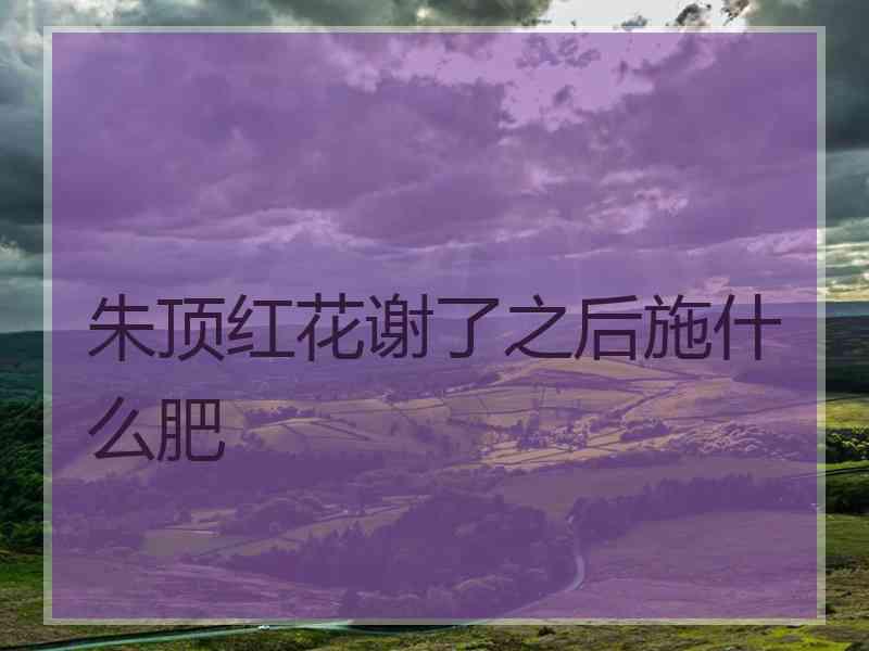 朱顶红花谢了之后施什么肥