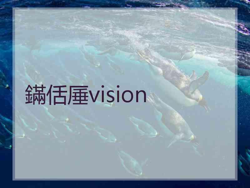 鏋佸厜vision