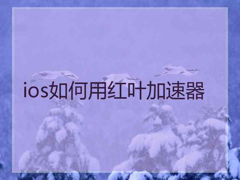 ios如何用红叶加速器