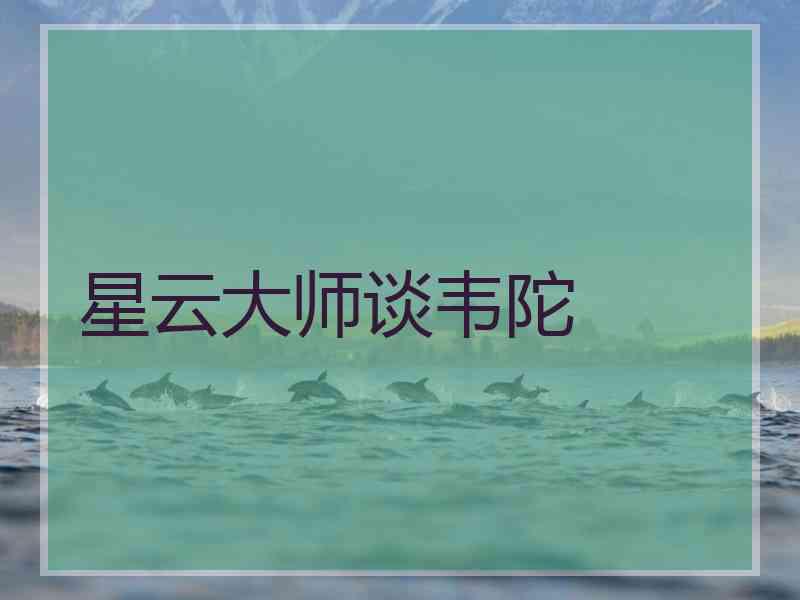 星云大师谈韦陀