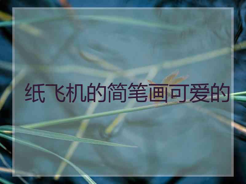 纸飞机的简笔画可爱的