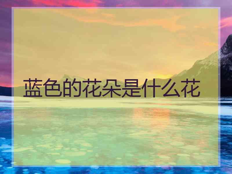蓝色的花朵是什么花
