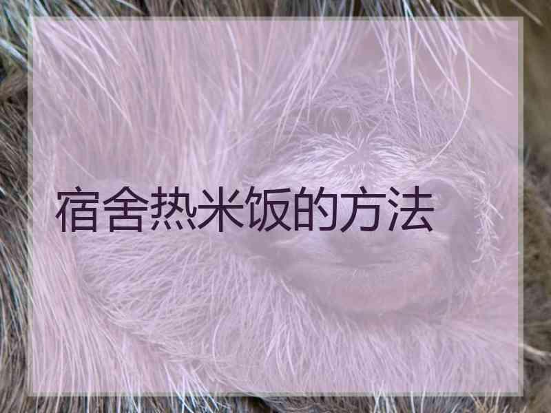 宿舍热米饭的方法