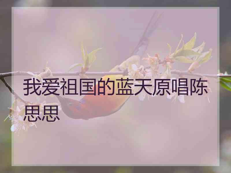 我爱祖国的蓝天原唱陈思思