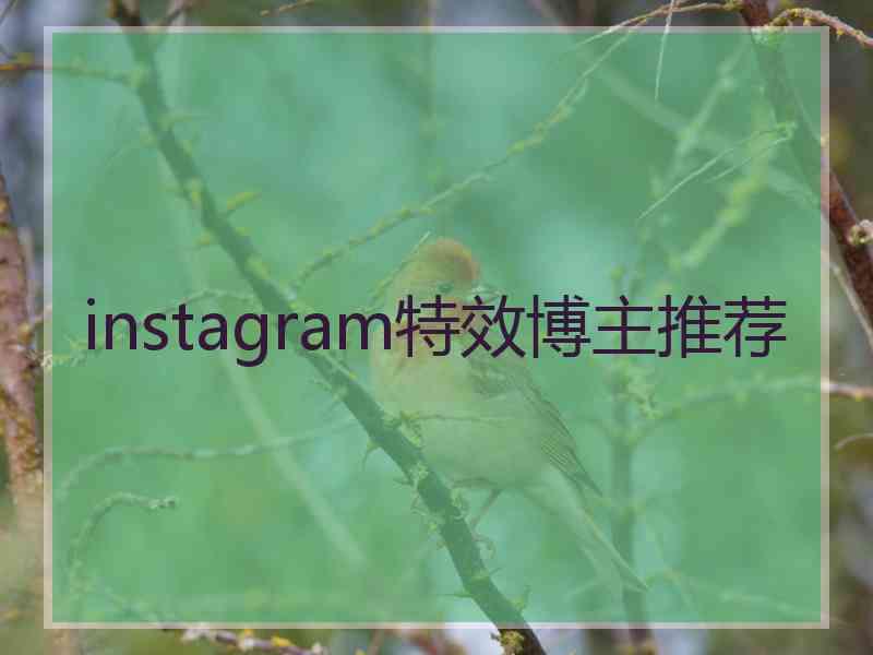 instagram特效博主推荐