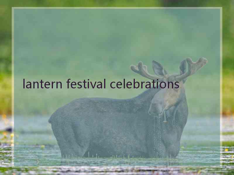 lantern festival celebrations