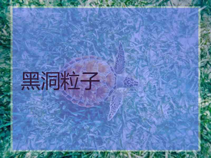 黑洞粒子