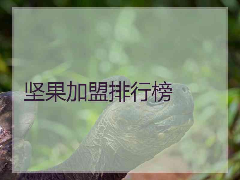 坚果加盟排行榜