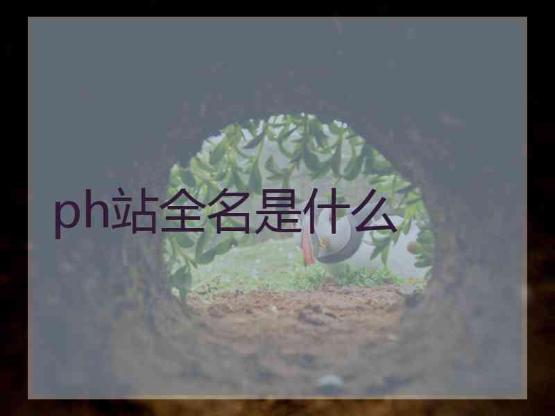 ph站全名是什么