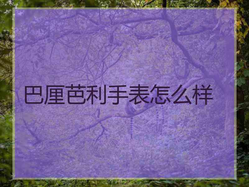 巴厘芭利手表怎么样