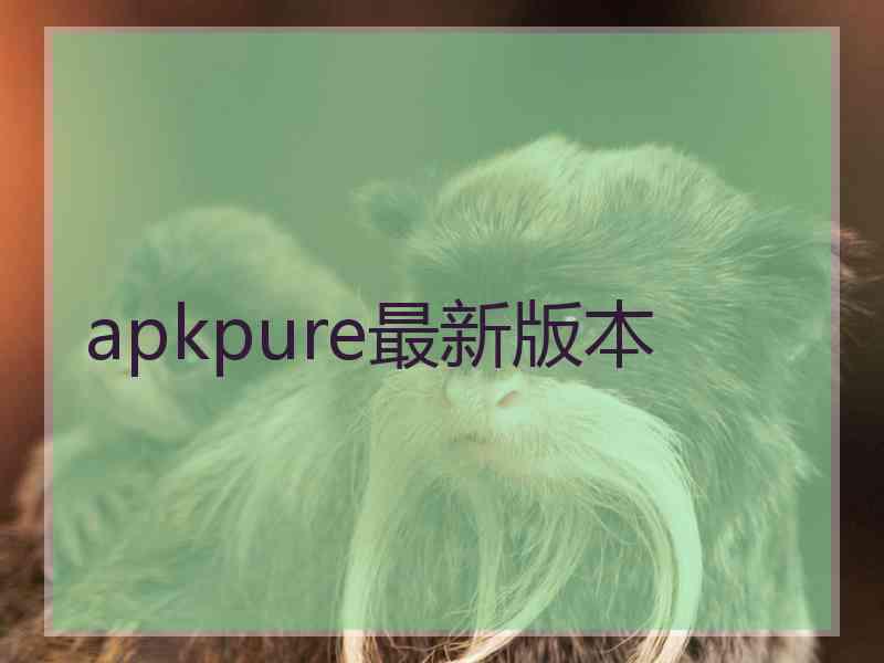 apkpure最新版本