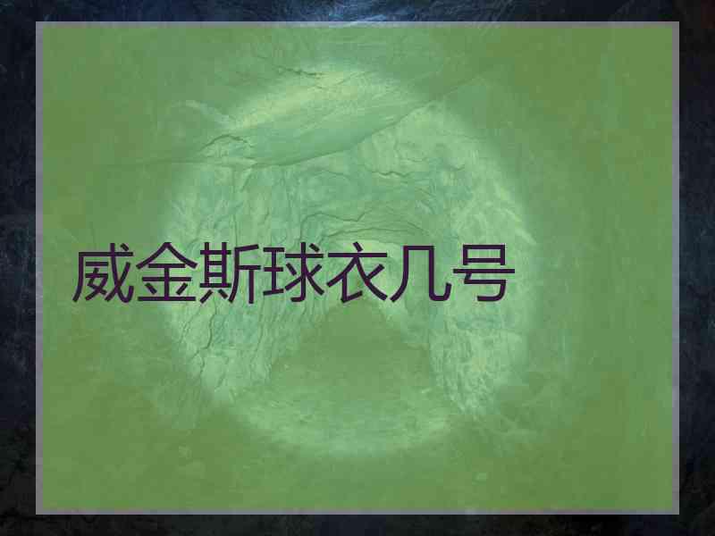 威金斯球衣几号