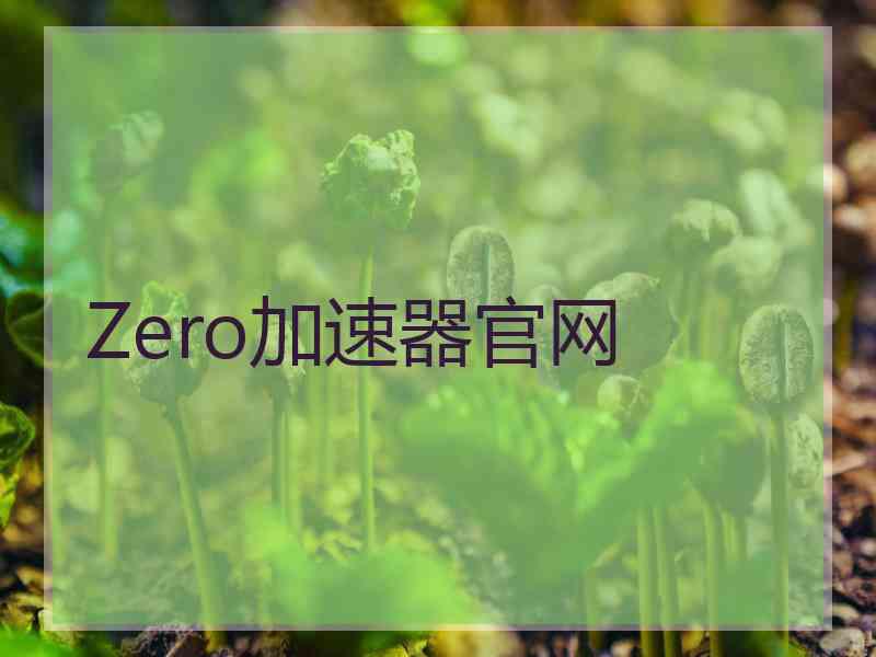 Zero加速器官网