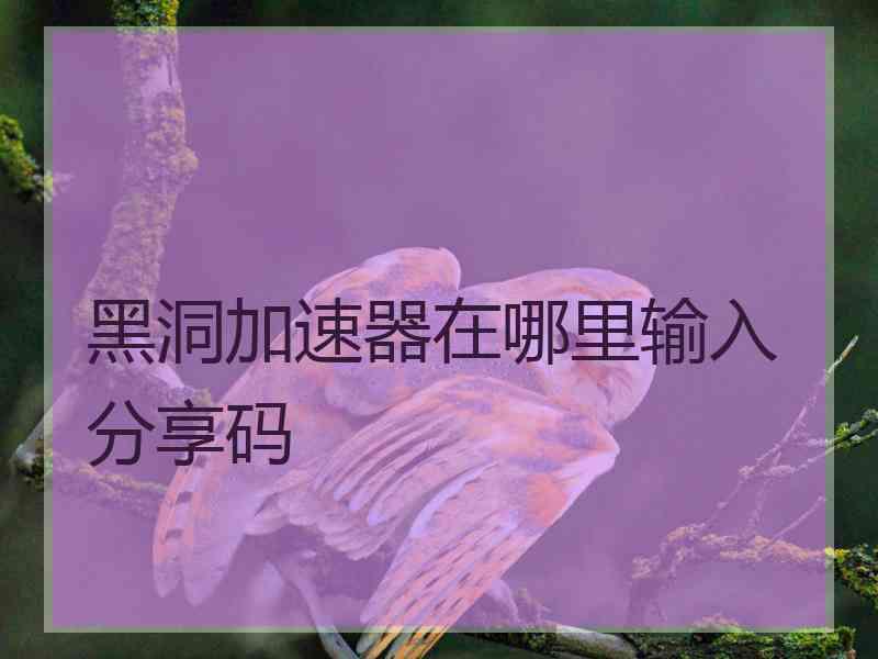 黑洞加速器在哪里输入分享码