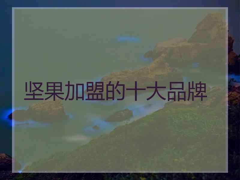 坚果加盟的十大品牌