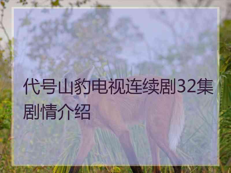 代号山豹电视连续剧32集剧情介绍