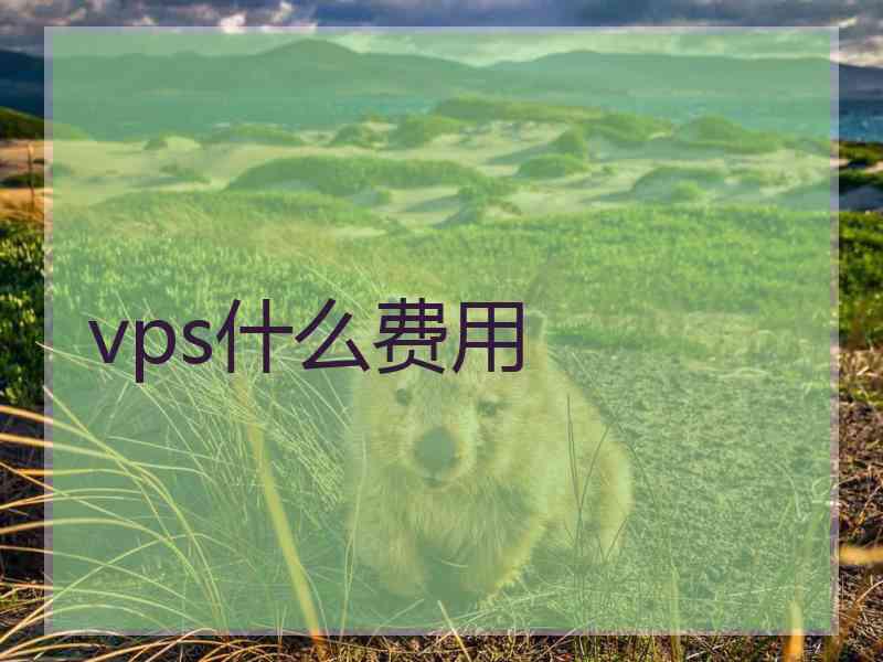 vps什么费用
