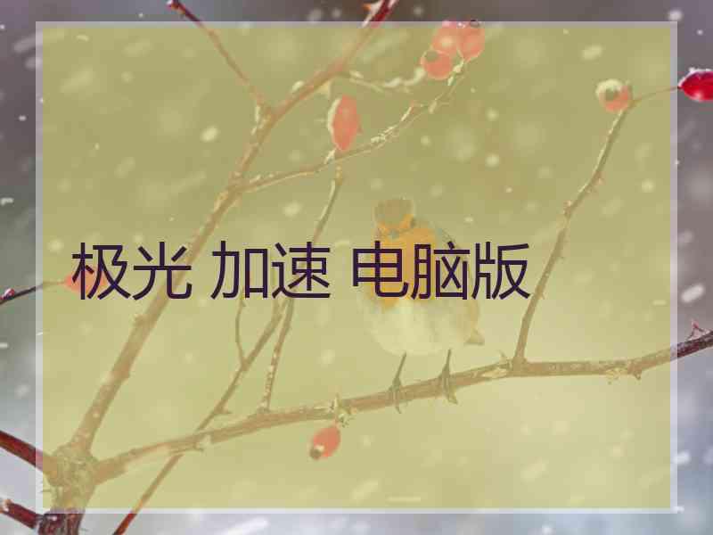 极光 加速 电脑版